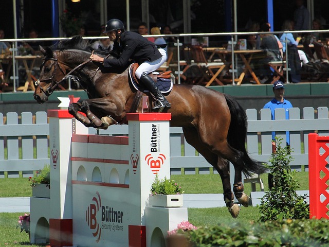 将的快速成 将的快速成