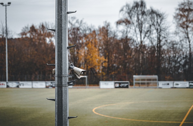 观众仍然在 观众仍然在