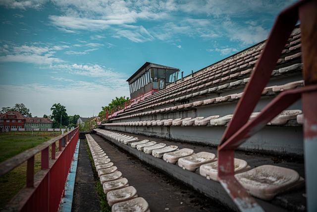 闻的更新 闻的更新