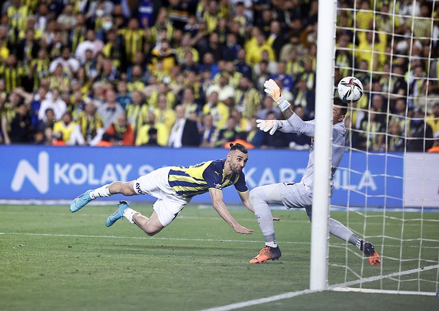 岁的新秀后 岁的新秀后