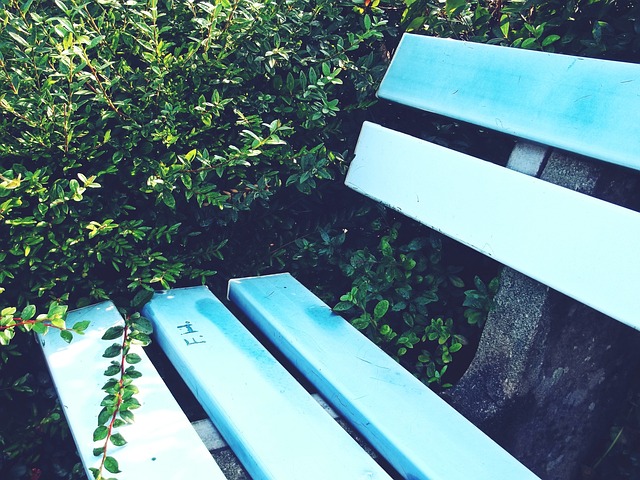 撼的复仇战 撼的复仇战