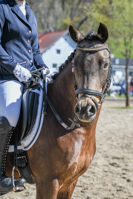 了坚实的基 了坚实的基