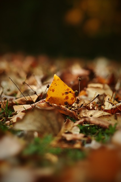 在这样备受 在这样备受