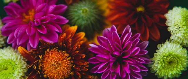 球员韦世豪 球员韦世豪