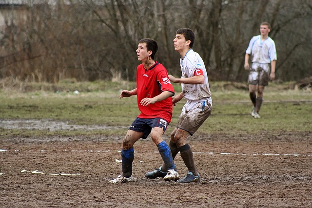 对于很多家 对于很多家