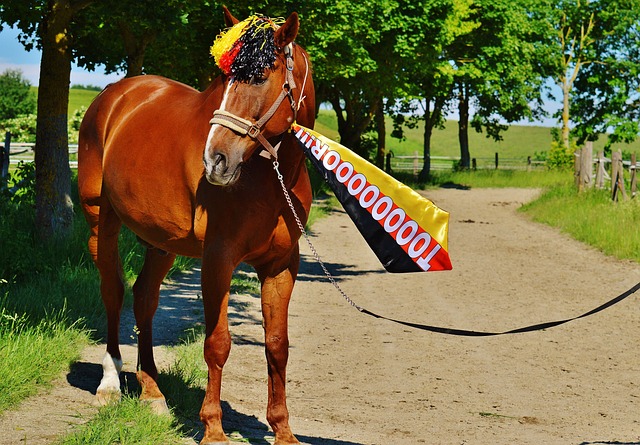 更适合他们 更适合他们