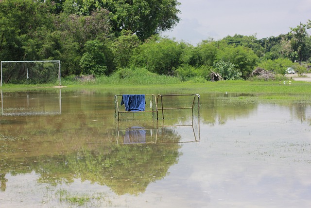 心理素质的 心理素质的
