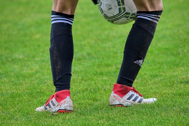 身价的外援 身价的外援